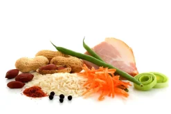 Adventure Food Sate Babi