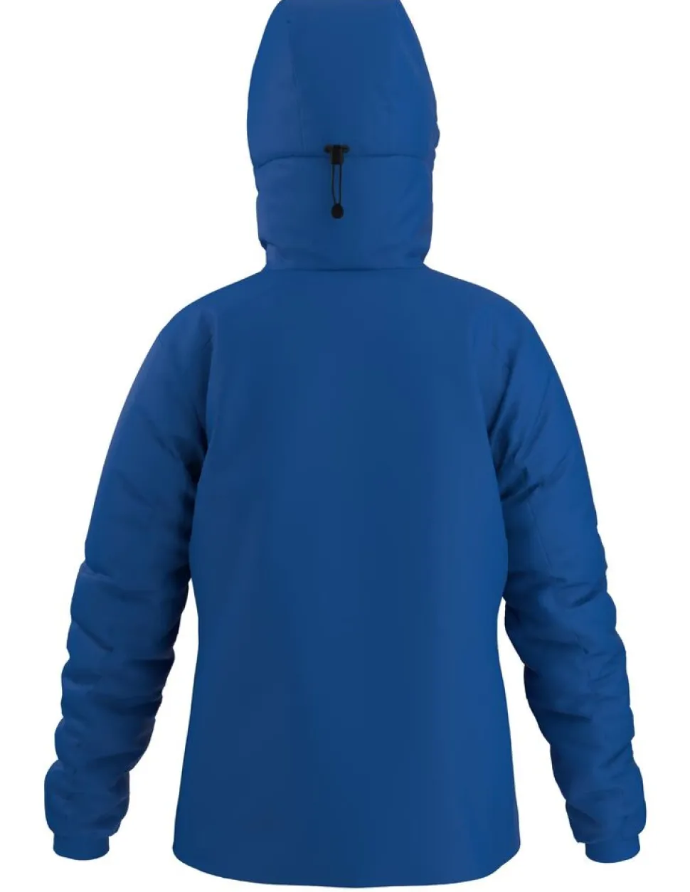 Arcteryx Atom SV Hoody W
