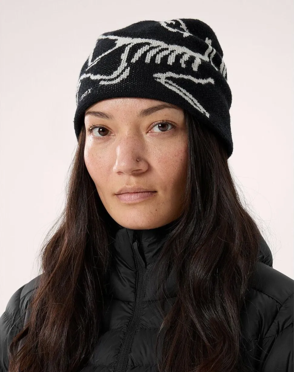 Arcteryx Bird head toque