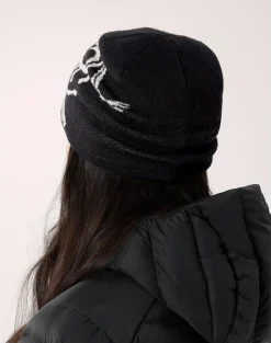 Arcteryx Bird head toque