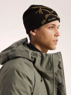 Arcteryx Bird head toque
