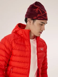 Arcteryx Bird head toque
