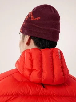 Arcteryx Bird head toque