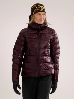 Arcteryx Cerium SV hoody W