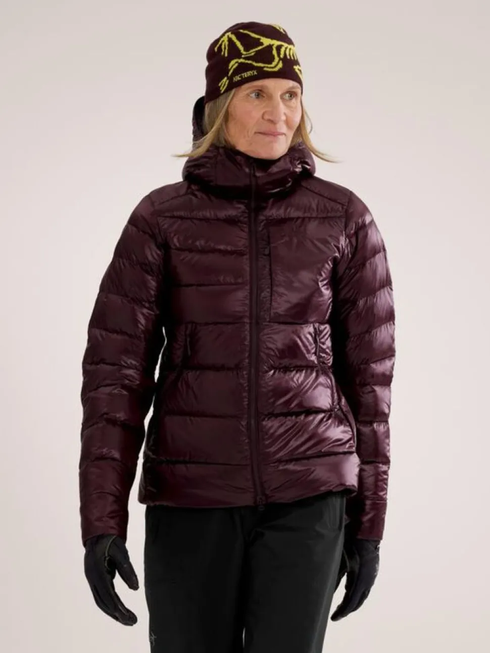 Arcteryx Cerium SV hoody W