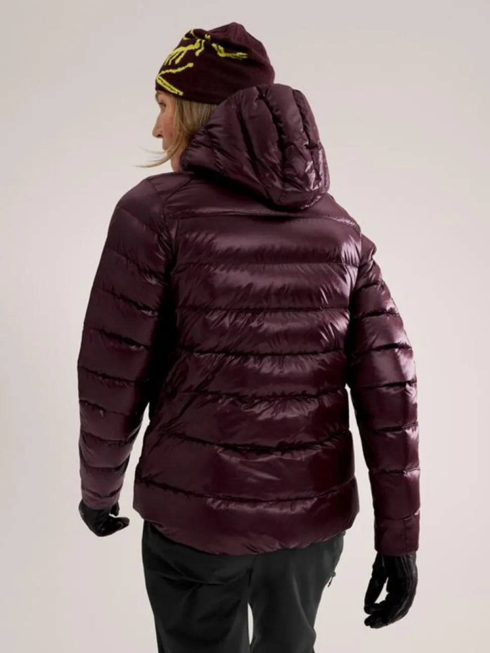 Arcteryx Cerium SV hoody W
