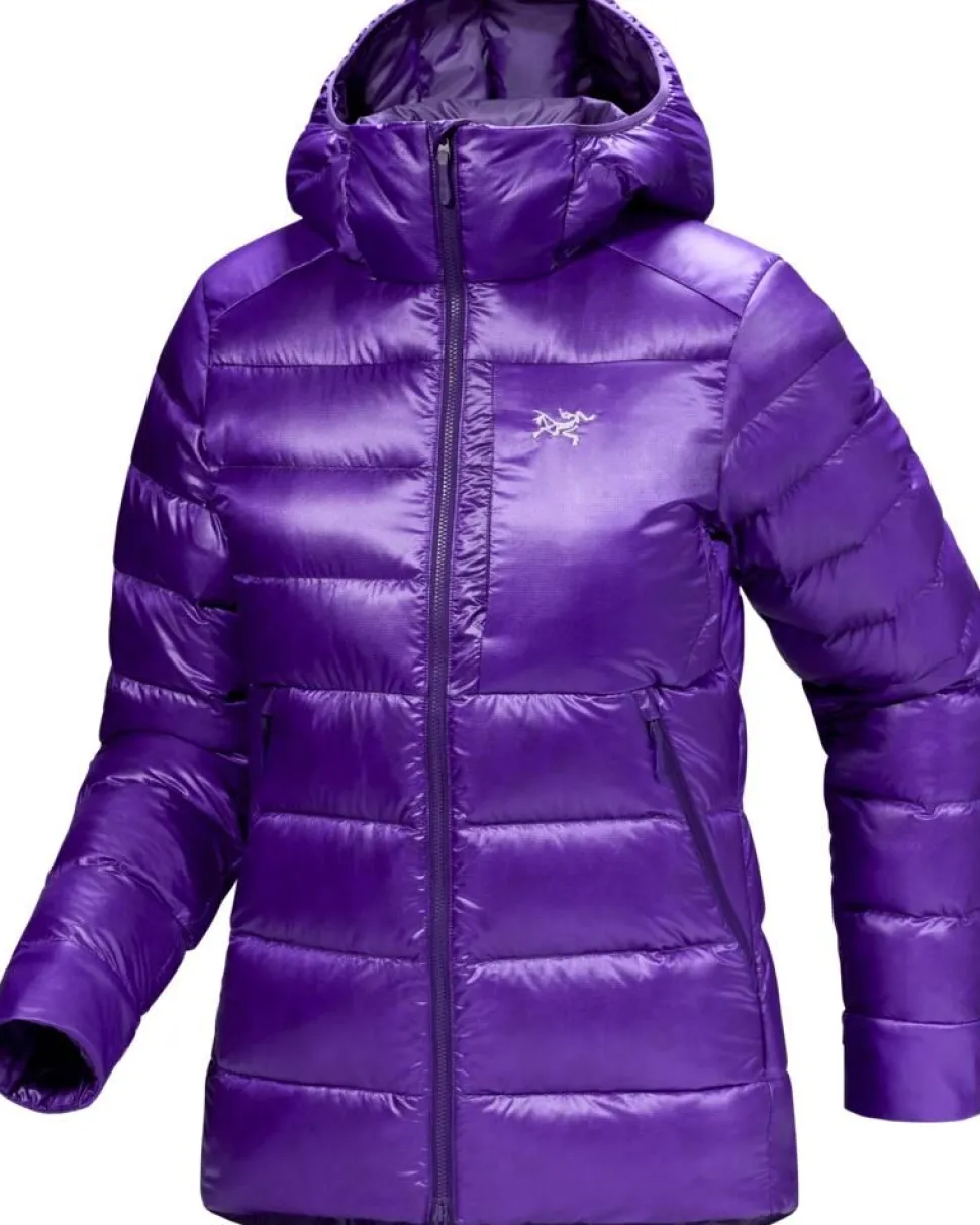 Arcteryx Cerium SV hoody W