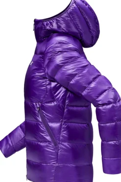 Arcteryx Cerium SV hoody W