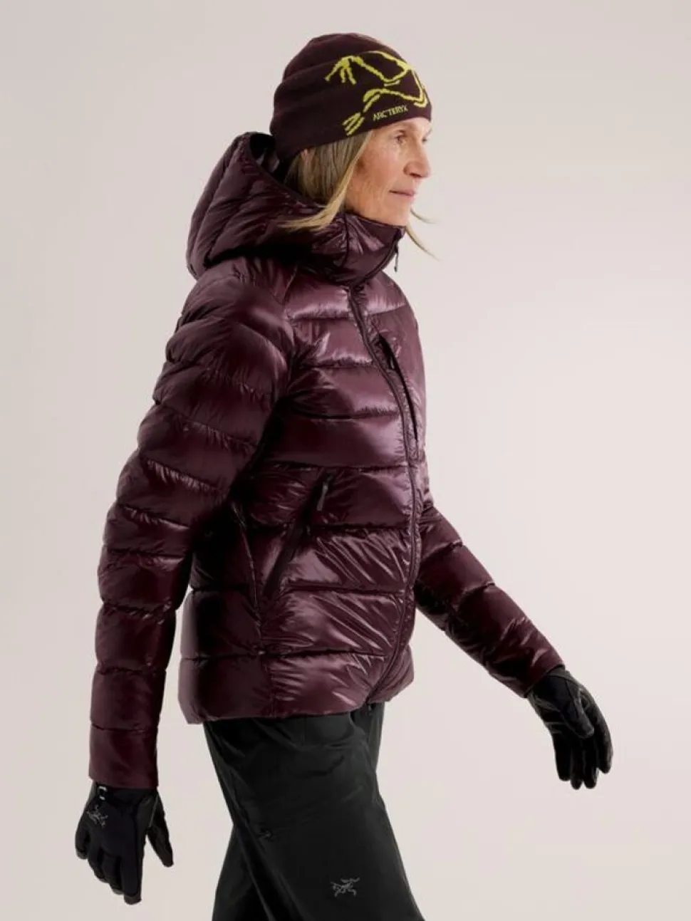 Arcteryx Cerium SV hoody W