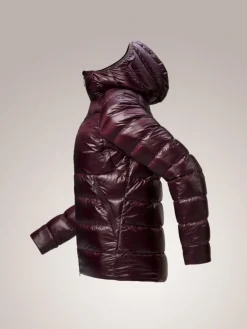 Arcteryx Cerium SV hoody W