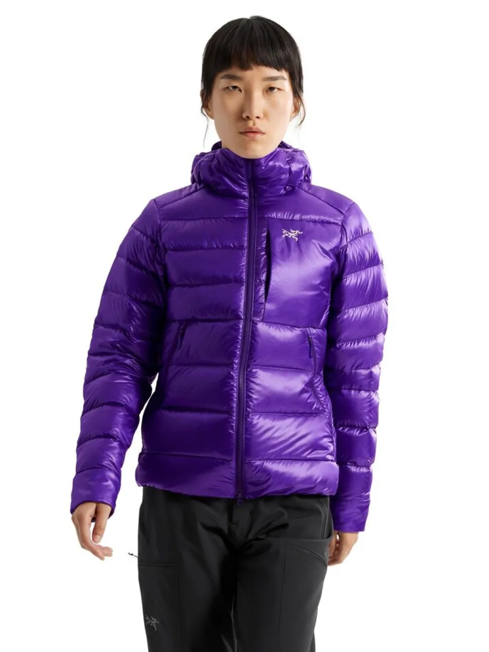 Arcteryx Cerium SV hoody W
