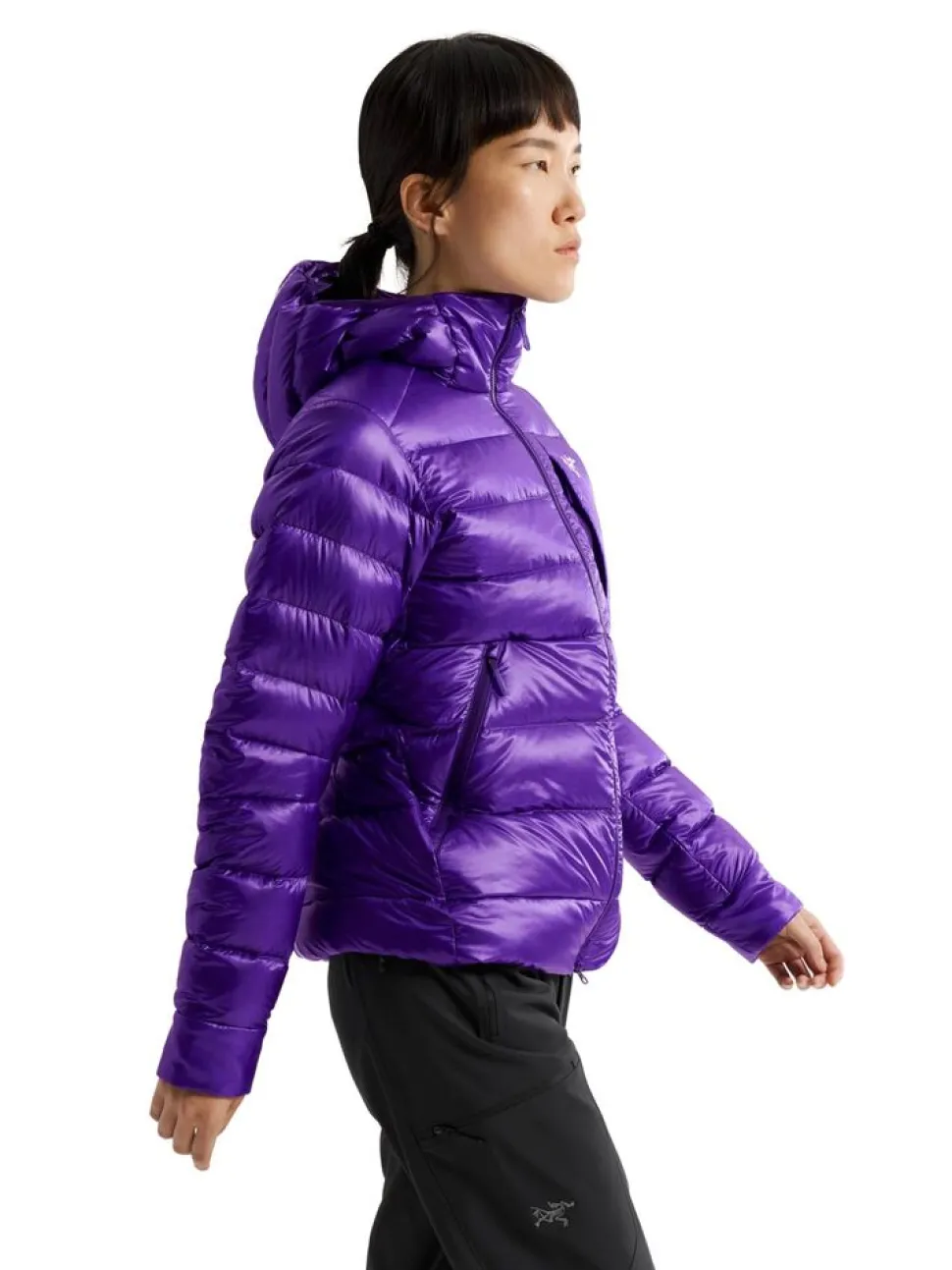 Arcteryx Cerium SV hoody W