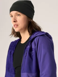 Arcteryx Proton SL Hoody W