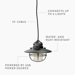 Barebones Edison pendant light usb