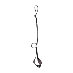 Black Diamond Slider leash