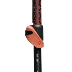 Black Diamond Trail Cork Trekking poles