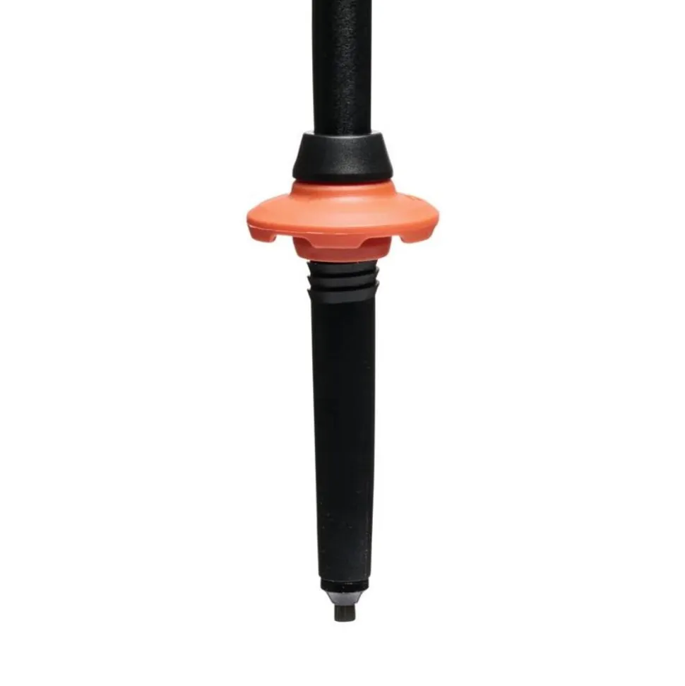 Black Diamond Trail Cork Trekking poles