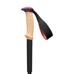 Black Diamond Trail Cork Trekking poles