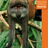 Bradt Travelguides Reisgids Gabon