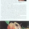 Bradt Travelguides Wildlife of the Pantanal
