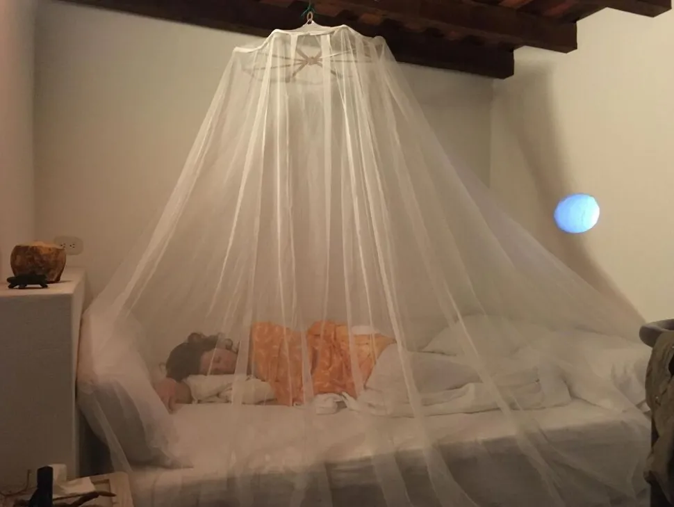 Brettschneider Mosquito net