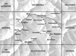Bundesamt - Swisstopo Topografische kaart 1249 Finsteraarhorn