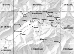 Bundesamt - Swisstopo Topografische kaart 1209 Brienz