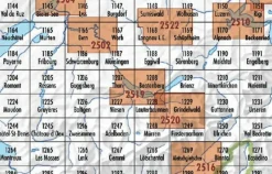 Bundesamt - Swisstopo Topografische kaart 1210 Innertkirchen