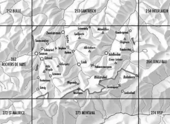 Bundesamt - Swisstopo Topografische kaart 263 Wildstrubel