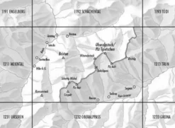 Bundesamt - Swisstopo Topografische kaart 1212 Amsteg
