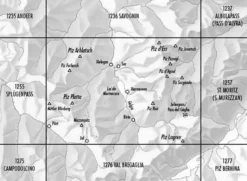 Bundesamt - Swisstopo Topografische kaart 1256 Bivio