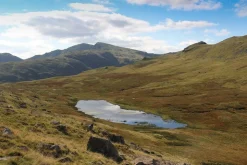 Cicerone Langdale - Walking The Lake District Fells