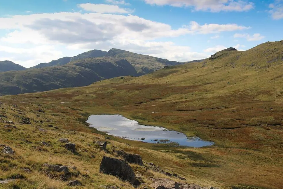 Cicerone Langdale - Walking The Lake District Fells