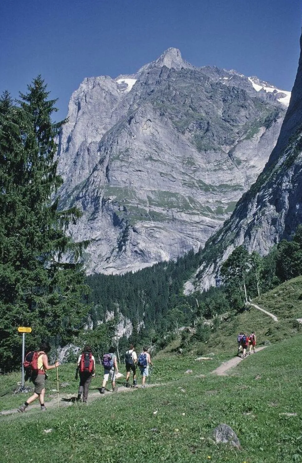 Cicerone Wandelgids Tour of the Jungfrau Region