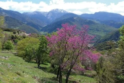 Cicerone Wandelgids Trekking in Greece