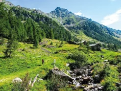 Cicerone Wandelgids Trekking the Giants Trail - Alta Via 1