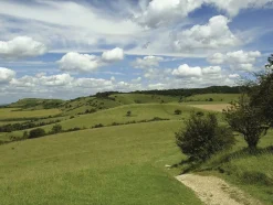 Cicerone Wandelgids Walking in The Chilterns