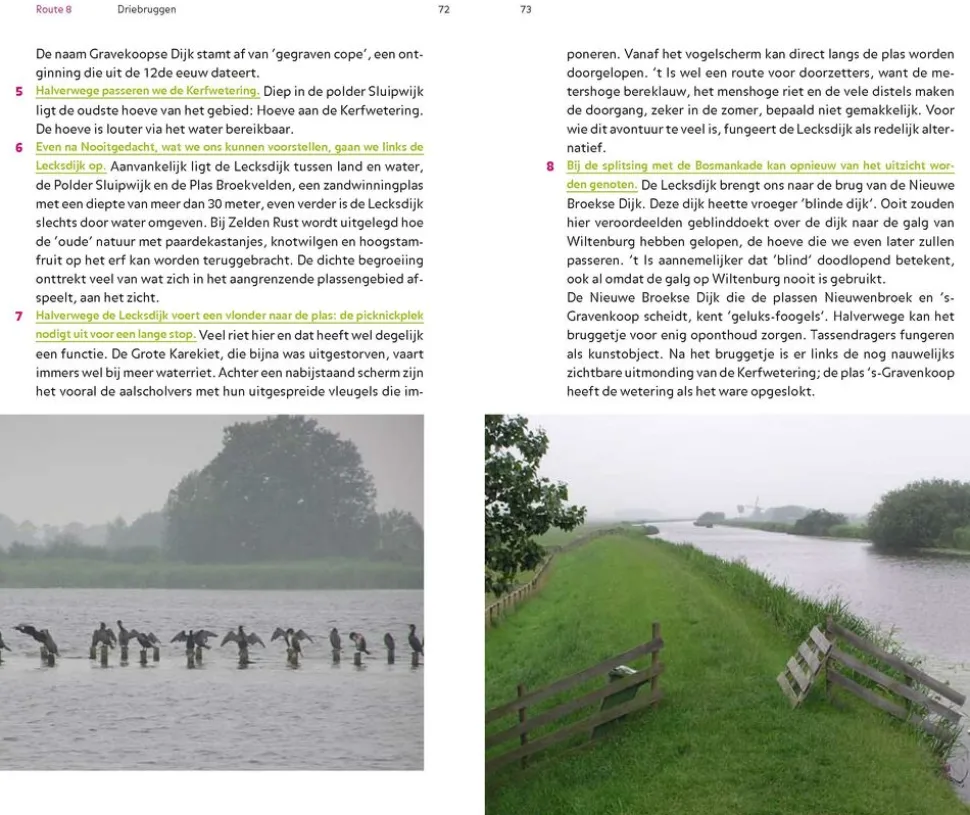 Gegarandeerd Onregelmatig De groenste wandelingen in de Randstad