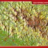 Georelief Maps Reliëf ansichtkaart Bayerische Wald