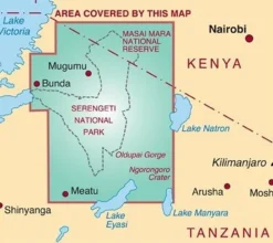 Harvey Maps Serengeti Official Map & Visitor Guide