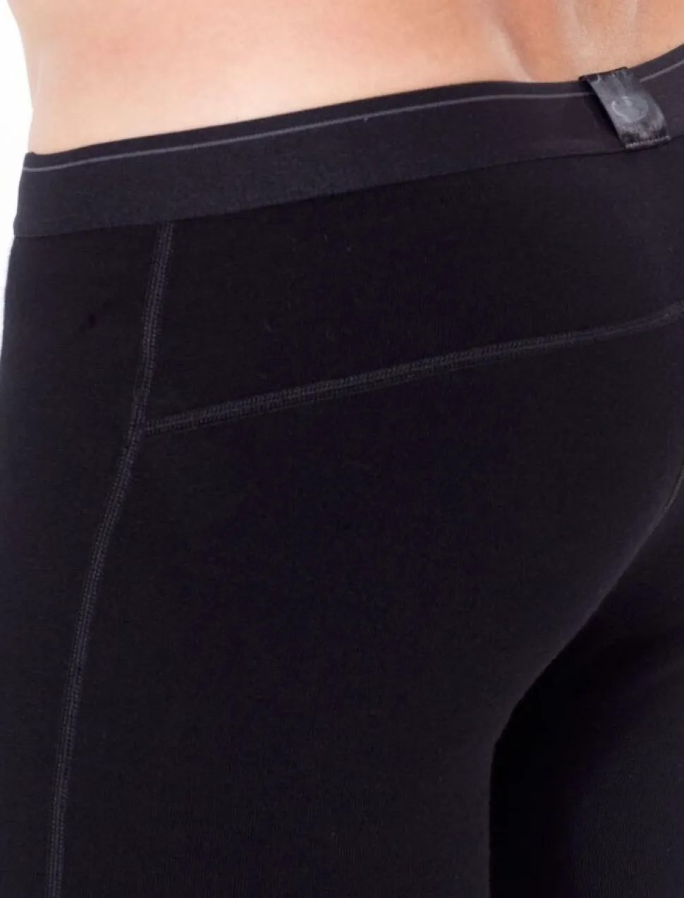Icebreaker Mens 260 tech leggings