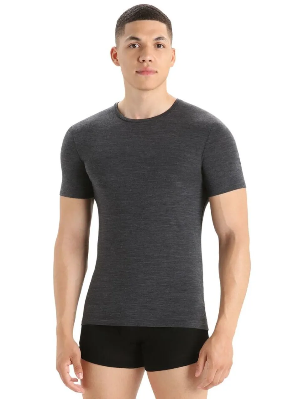 Icebreaker Mens anatomica ss crewe