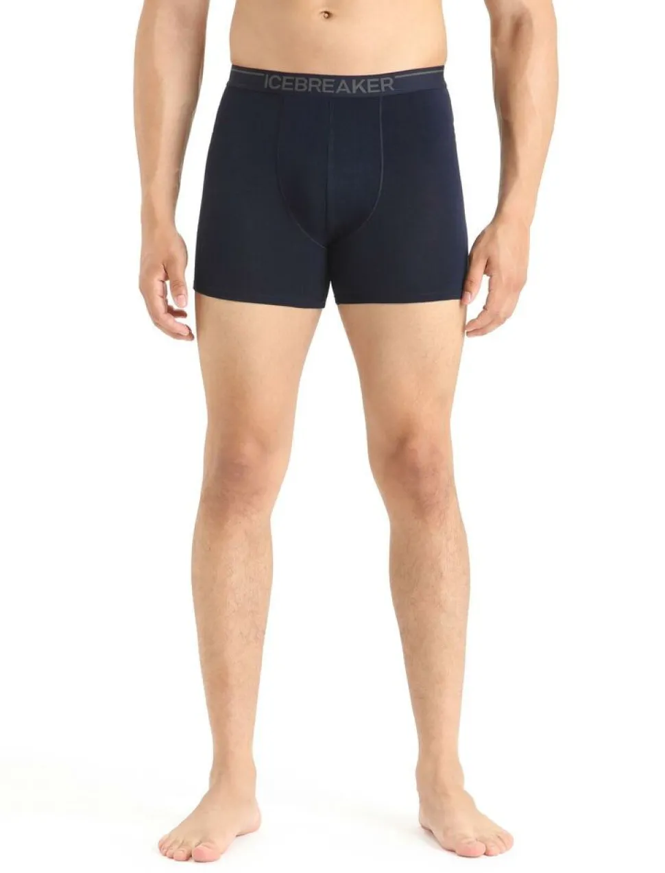 Icebreaker Mens anatomica boxers