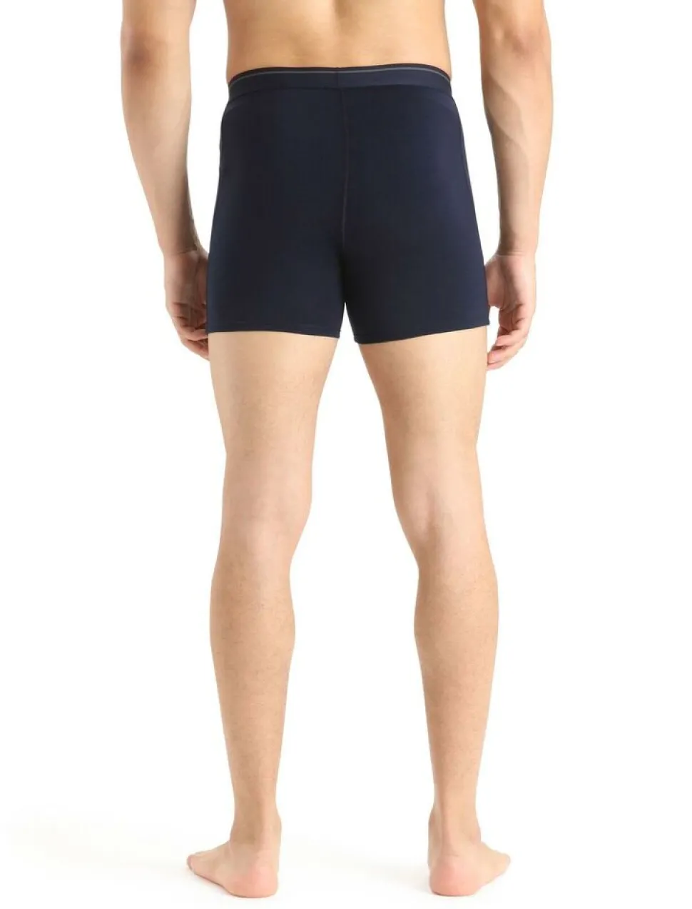 Icebreaker Mens anatomica boxers