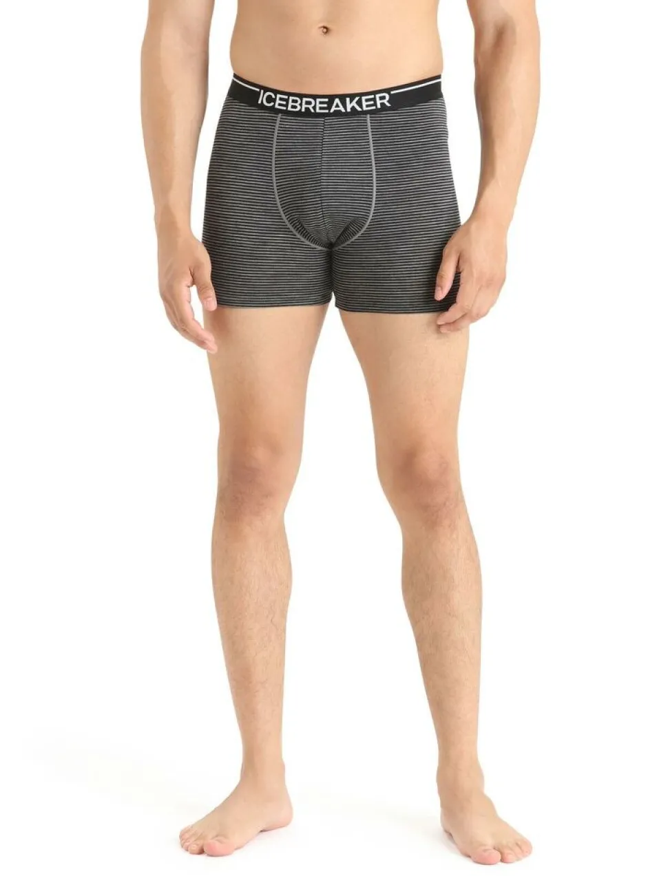 Icebreaker Mens anatomica boxers
