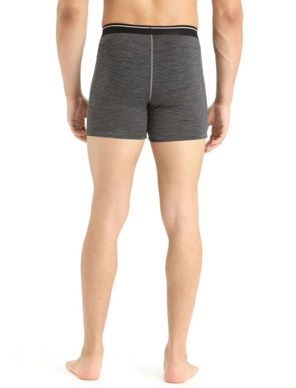 Icebreaker Mens anatomica boxers