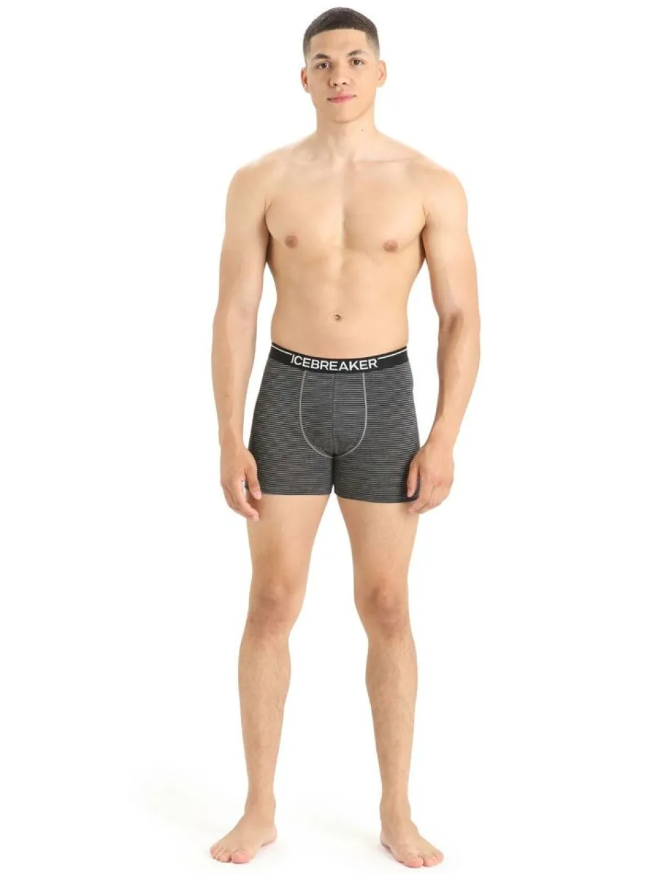 Icebreaker Mens anatomica boxers