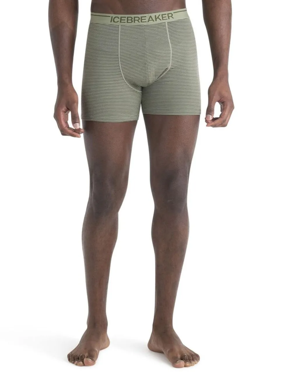 Icebreaker Mens anatomica boxers