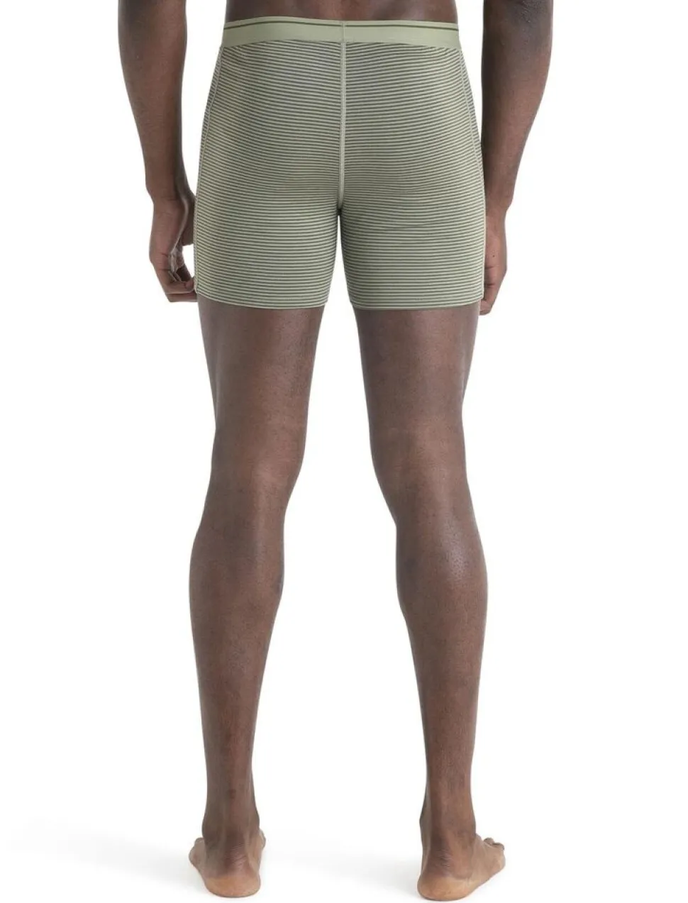 Icebreaker Mens anatomica boxers