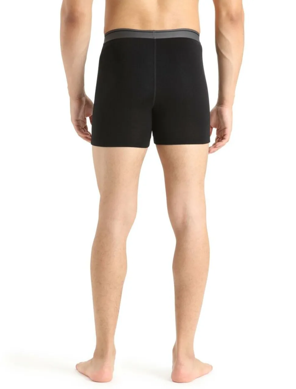 Icebreaker Mens anatomica boxers